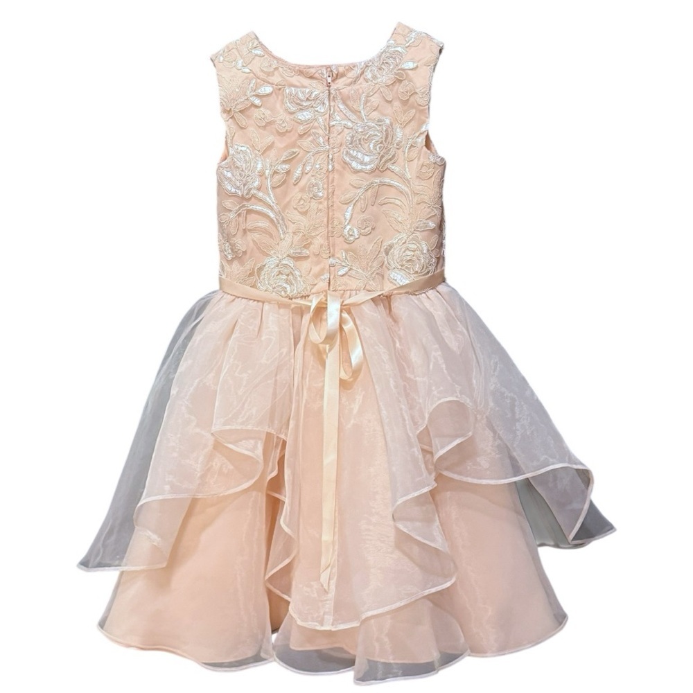 Rare Editions Girls Blush Floral Embroidered Formal Dress Size 10 - Picture 3 of 8